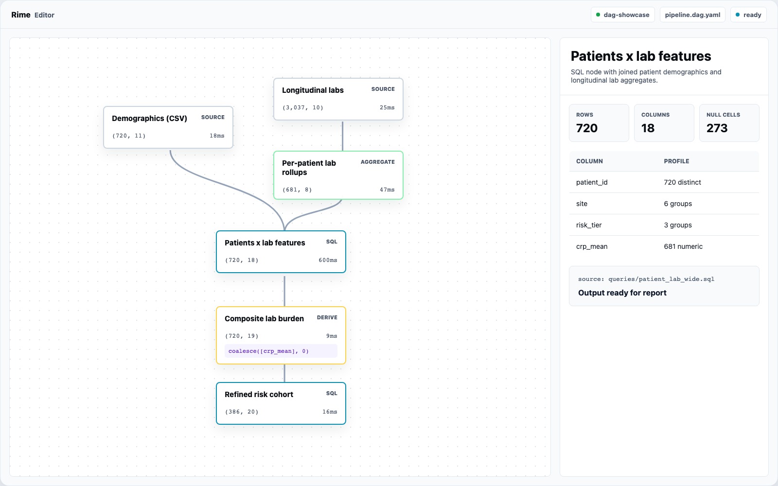 Rime Editor showing the dag-showcase pipeline canvas and selected node inspector.